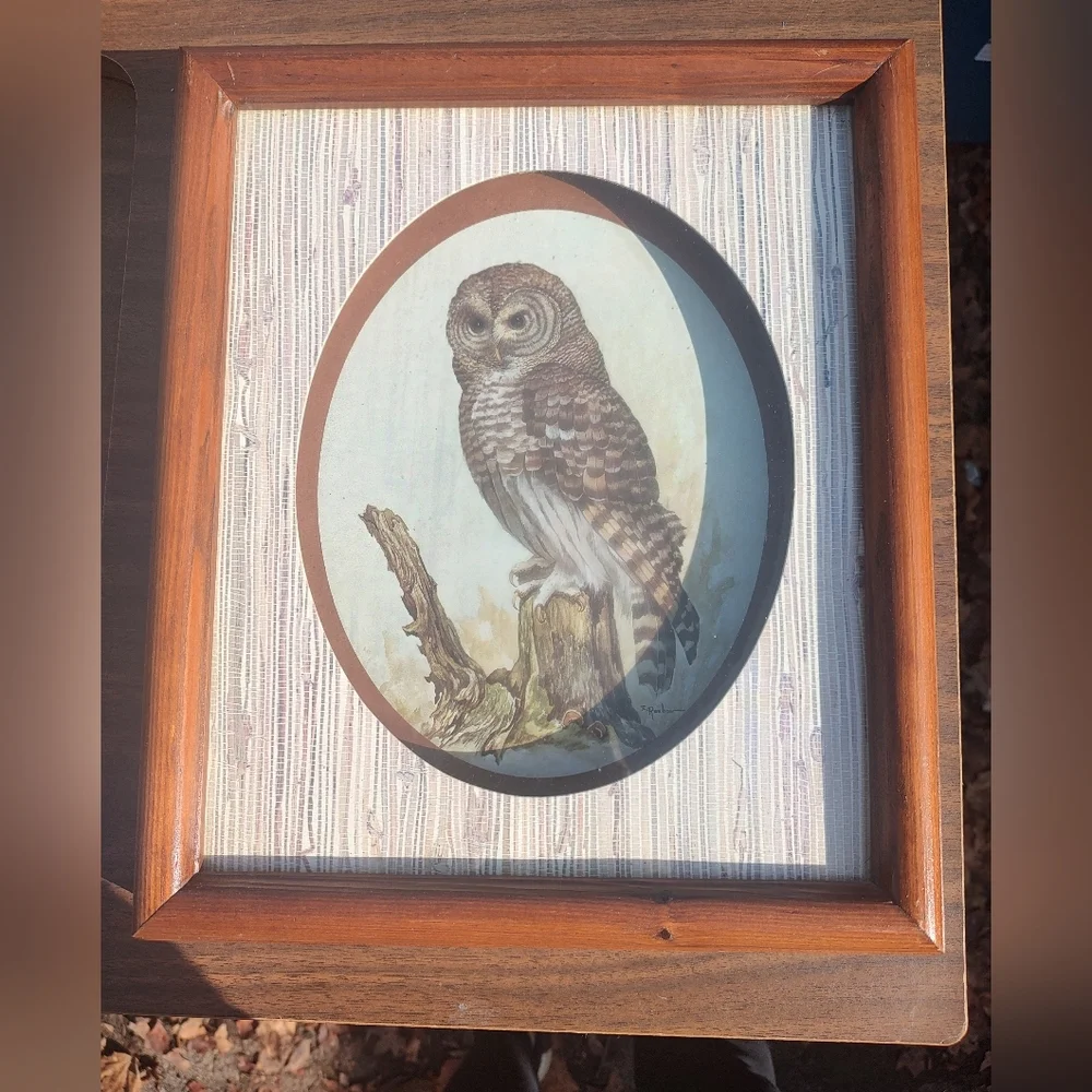 Vintage thick shadow box Owl